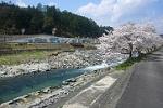 春の福崎公園の景観画像