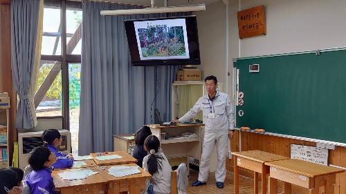 小学4年