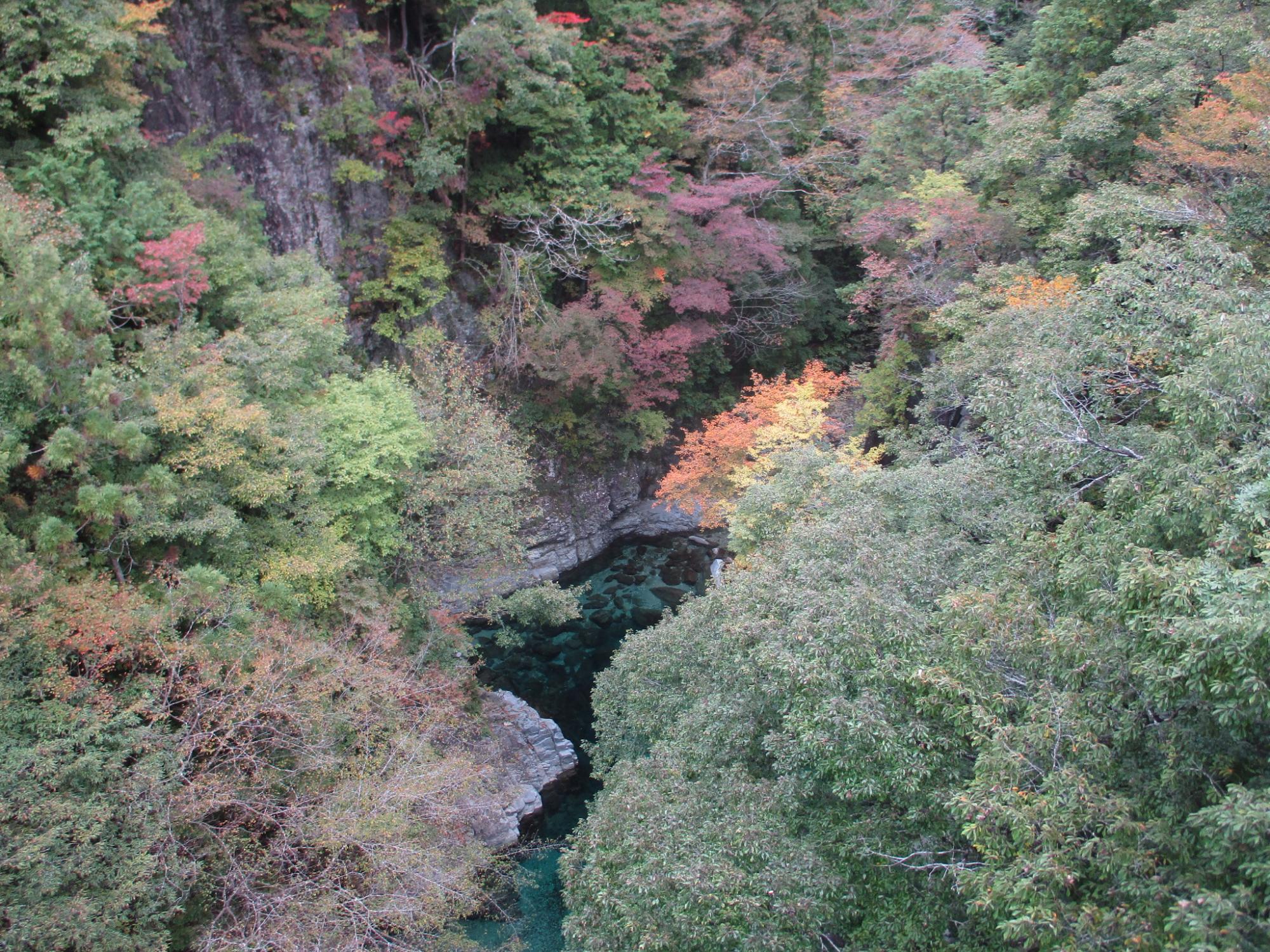 攻橋周辺の紅葉の様子