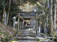 石の階段と木の鳥居の奥に白山神社のお堂を正面から見る