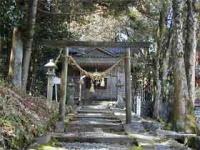 石の階段と木の鳥居の奥に白山神社のお堂を正面から見る
