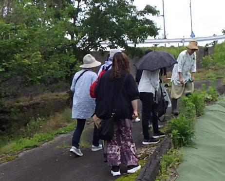 講座「野草de散歩」4