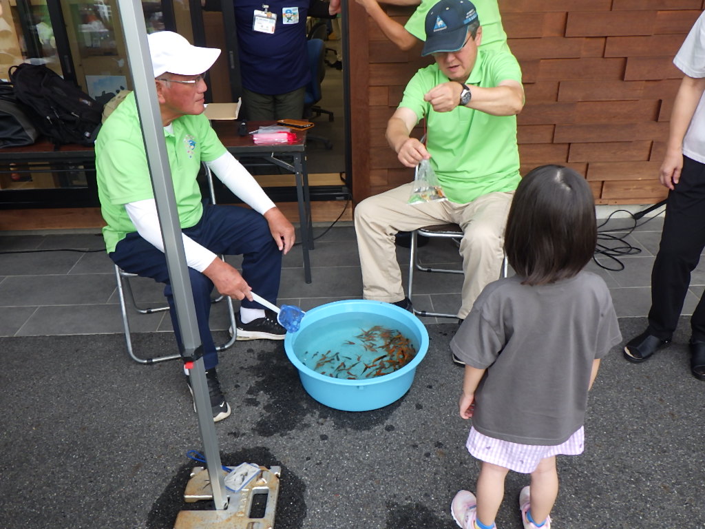 夏祭り金魚