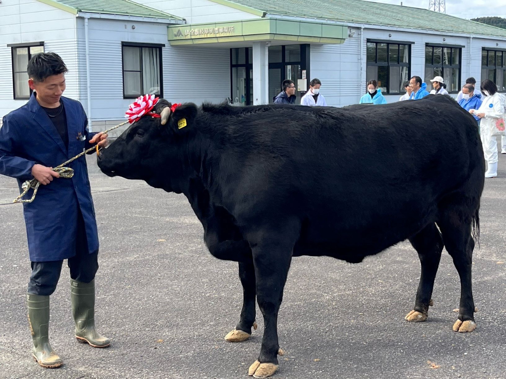 R7グランドチャンピオン