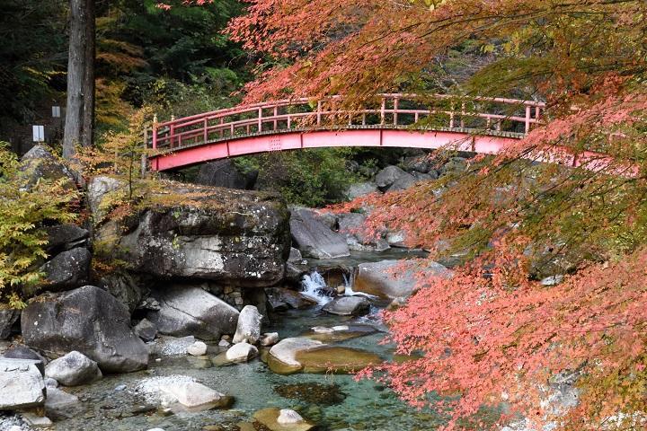 夕森公園もみじ橋紅葉の写真