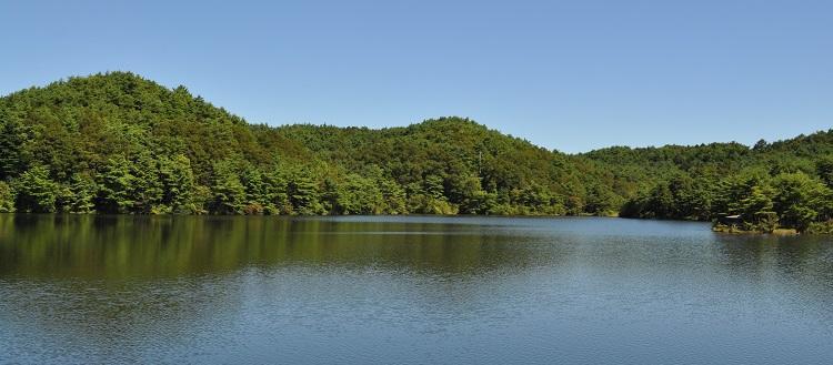 DSC_0032.JPG