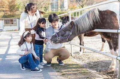 愛らしい動物たちとふれあい体験