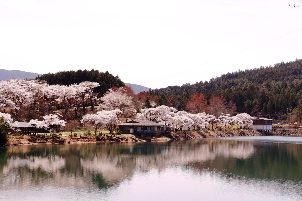 椛の湖オートキャンプ場