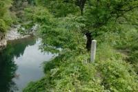 アジメドジョウ生息地