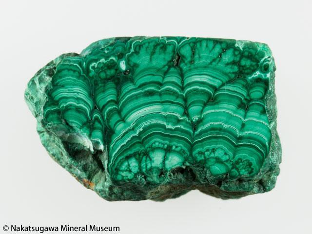 EA66NA1520 Malachite