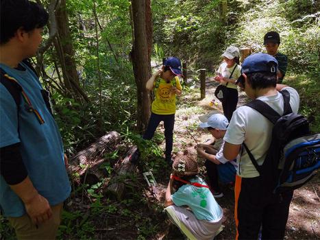 こんもり山プロジェクト2024第1回のようす