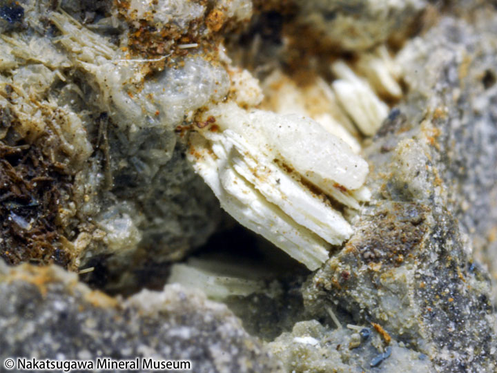 EA99290001 ネオジム弘三石