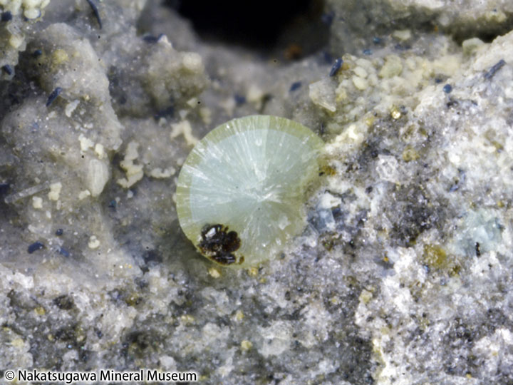 EB02270001 ランタン弘三石（蛍光灯照明下）