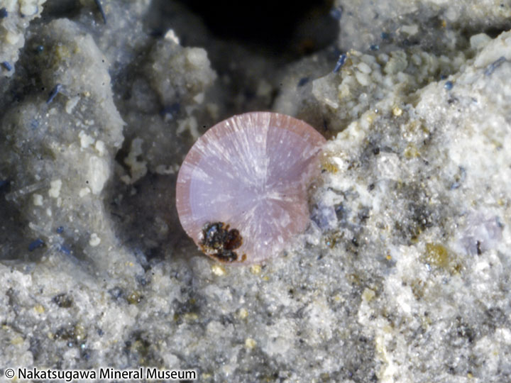 EB02270001 ランタン弘三石