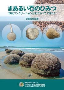 まあるい石のひみつ―球状コンクリーションはどうやってできた?