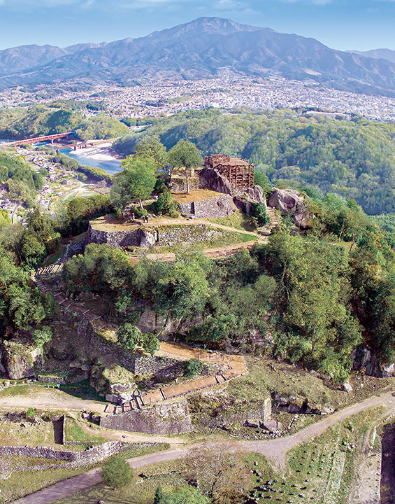 苗木城全景