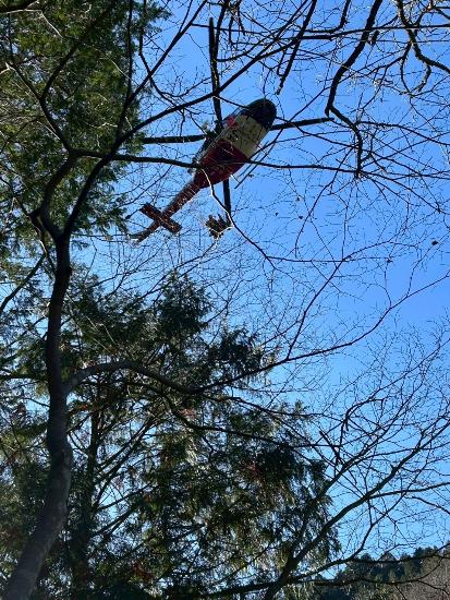 上空でホバリングしているヘリコプターの画像