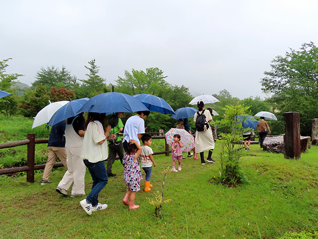 雨のお散歩