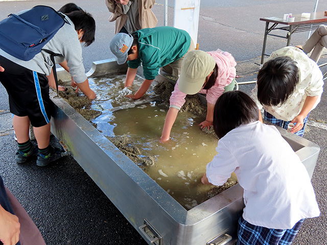 ジェムストーンさがし