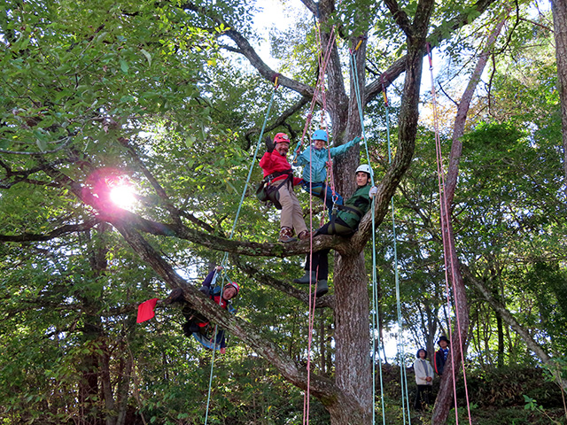 ツリークライミング