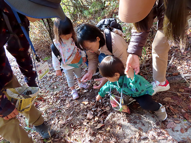 なにを見つけたかな？