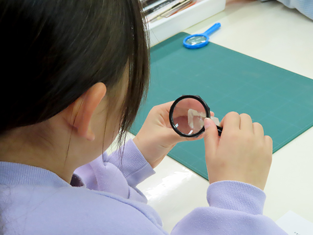 水晶の特徴を観察