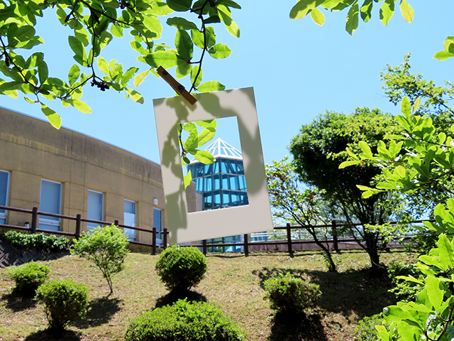 森の美術館