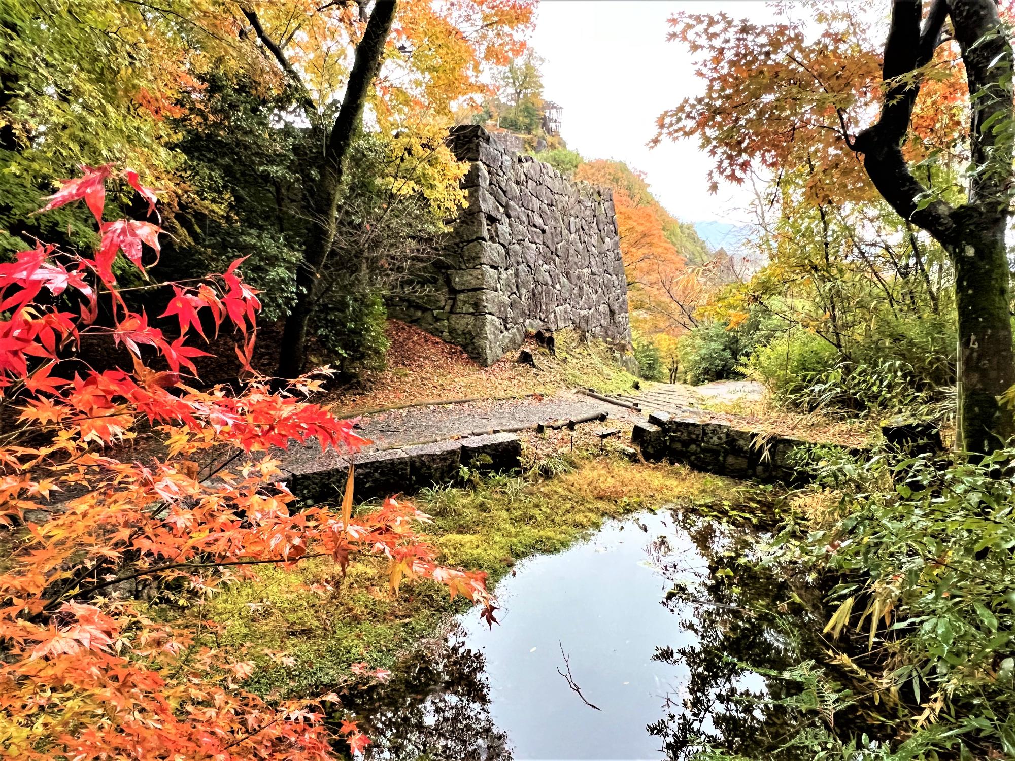 北の門小池から秋美しい大矢倉、天守を望む景色
