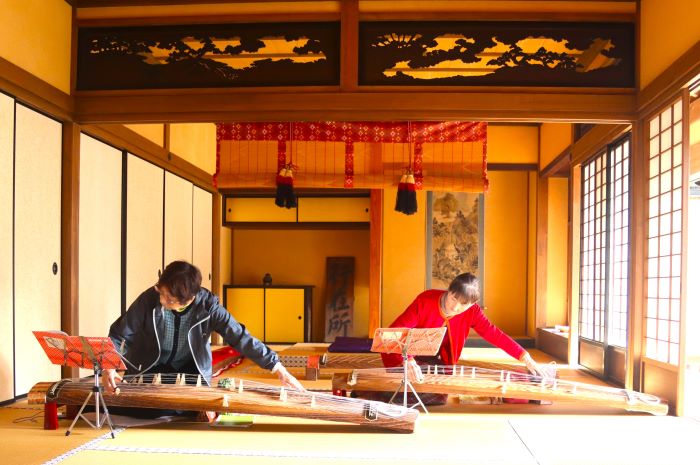 箏の演奏