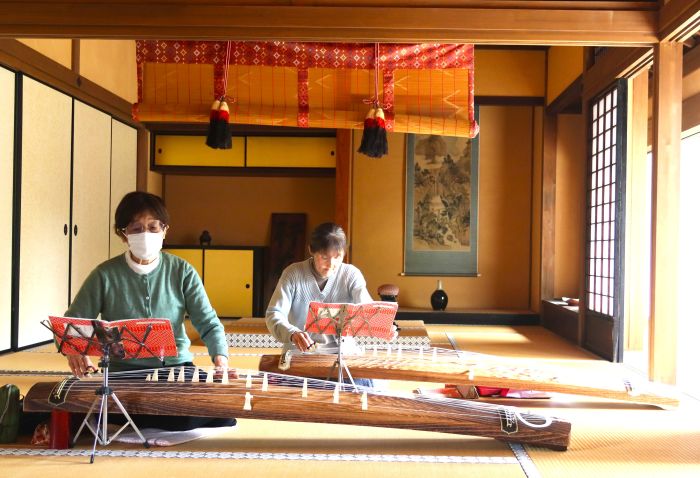 箏の演奏