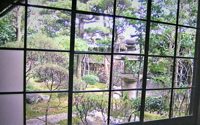 肥田家ガラス越しの裏庭