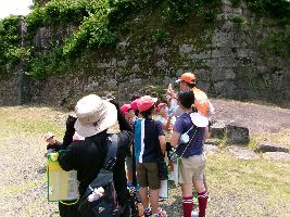 苗木城見学3