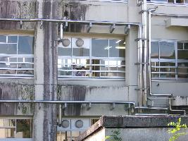 体育大会見学3
