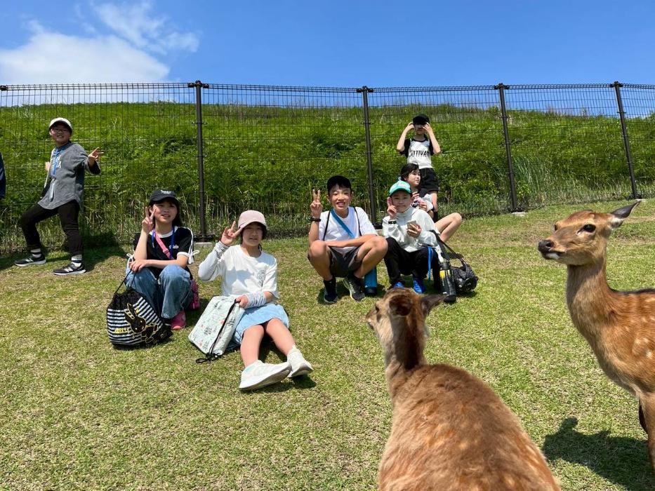 若草山