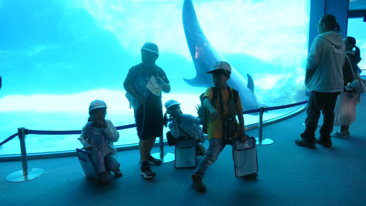 2年生生活科見学