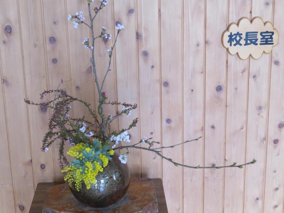 4月7日今週の花