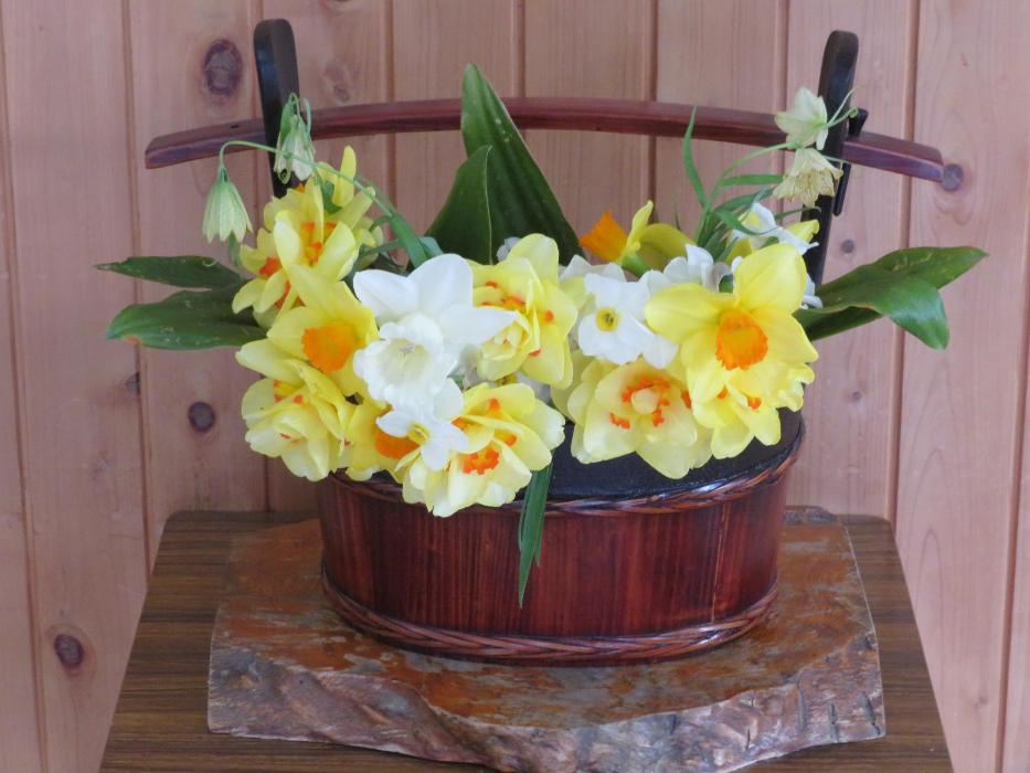 4月15日今週の花