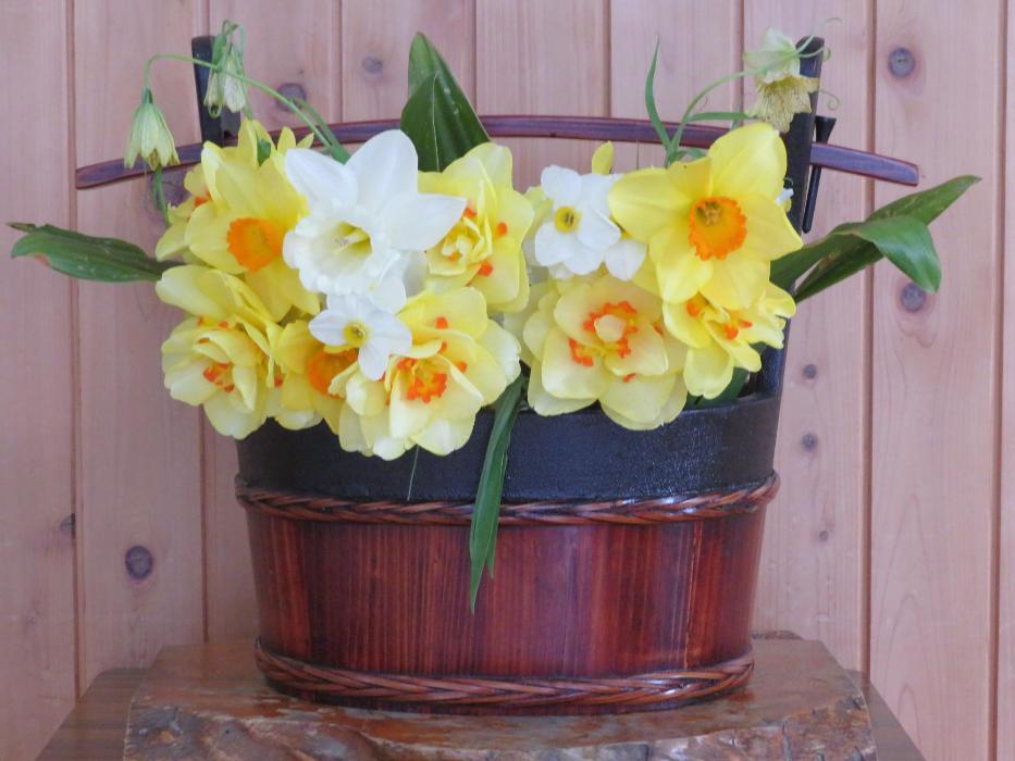 4月15日今週の花