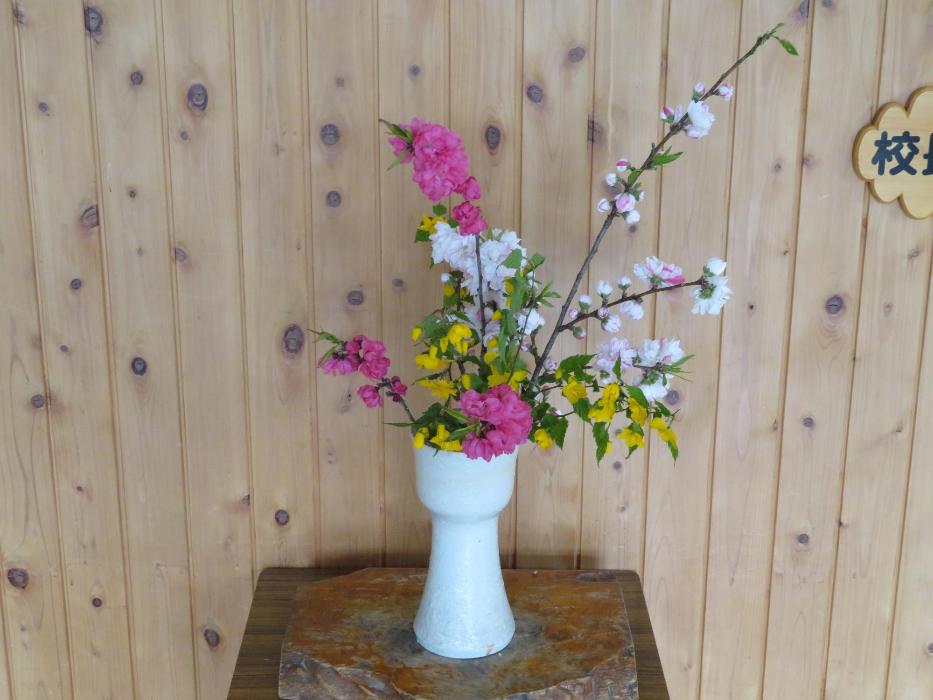 4月22日今週の花