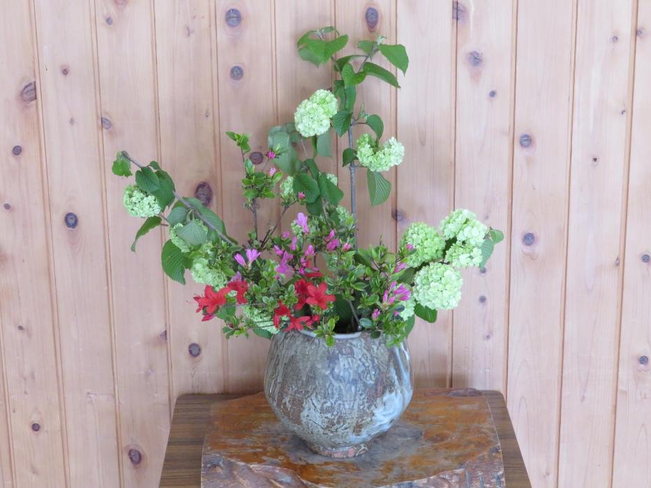 4月30日今週の花