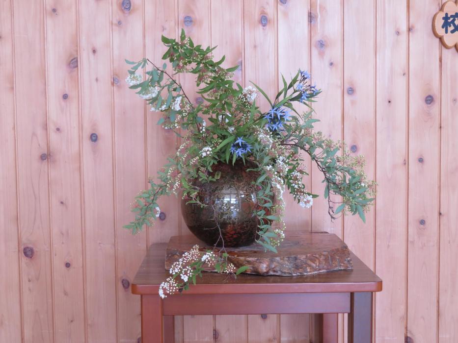 5月7日今週の花