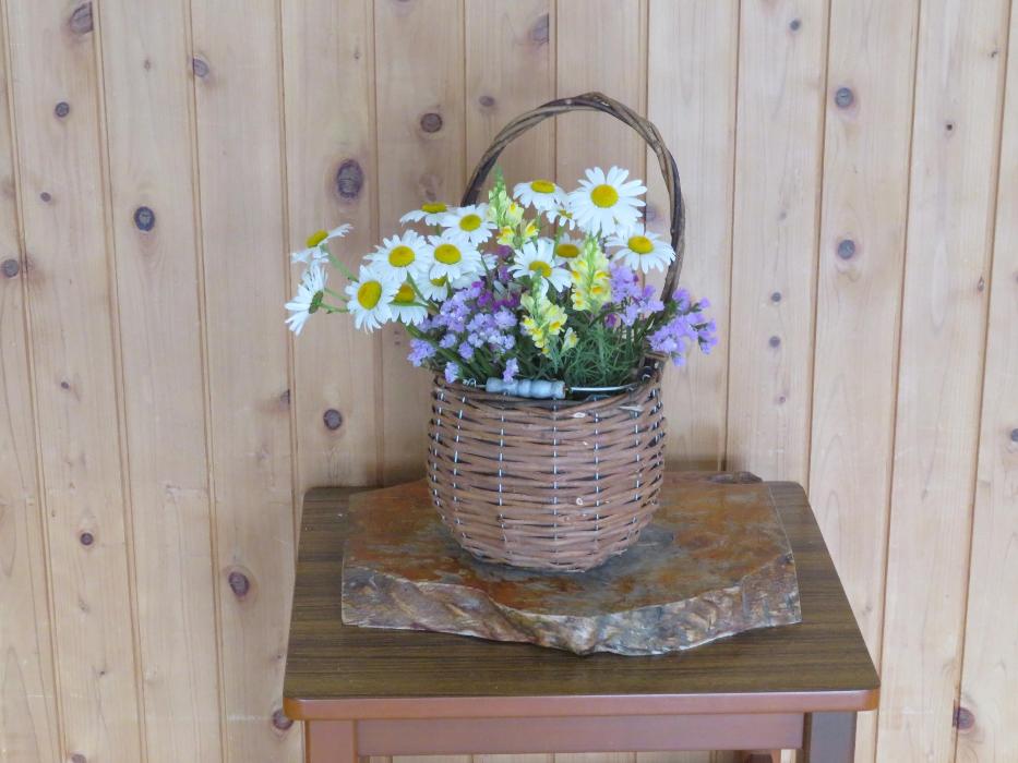5月27日今週の花