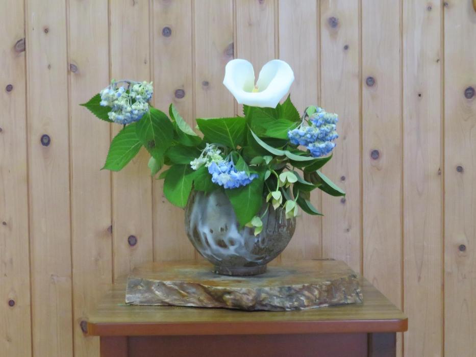 6月2日今週の花