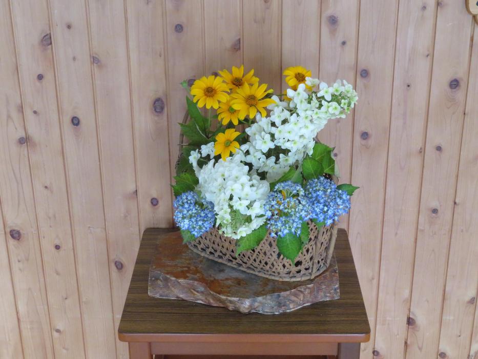 6月23日今週の花