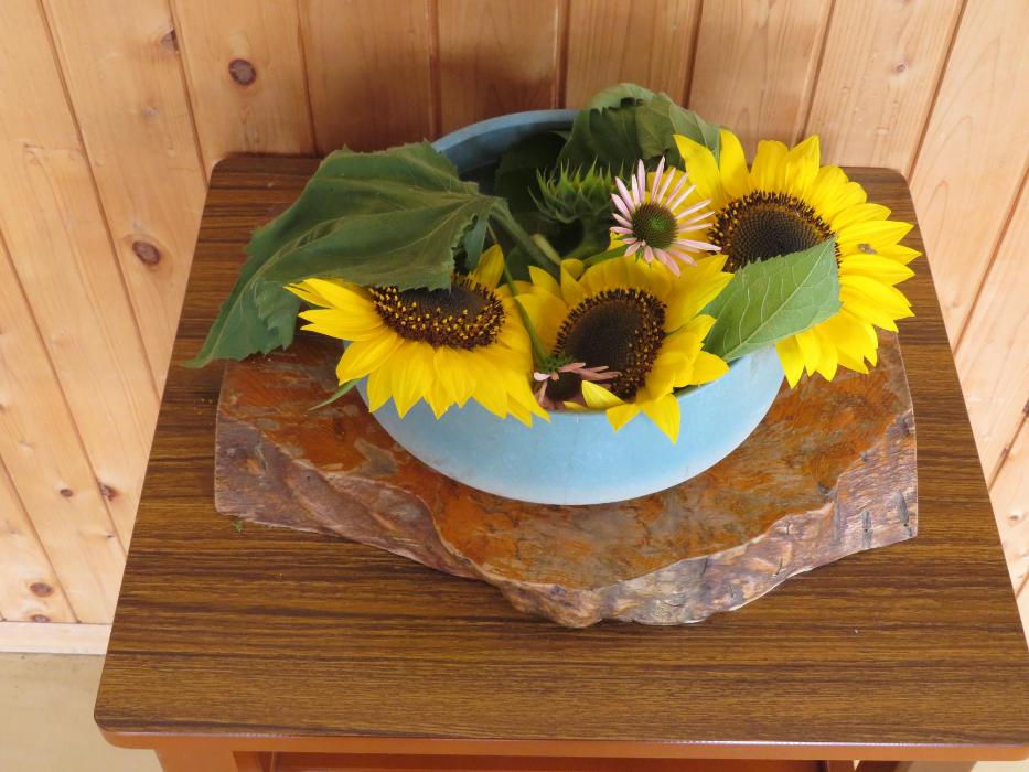 今週の花