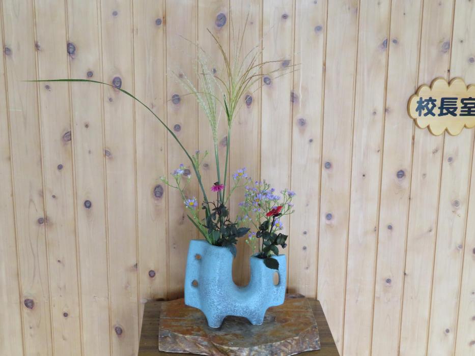 9月22日今週の花