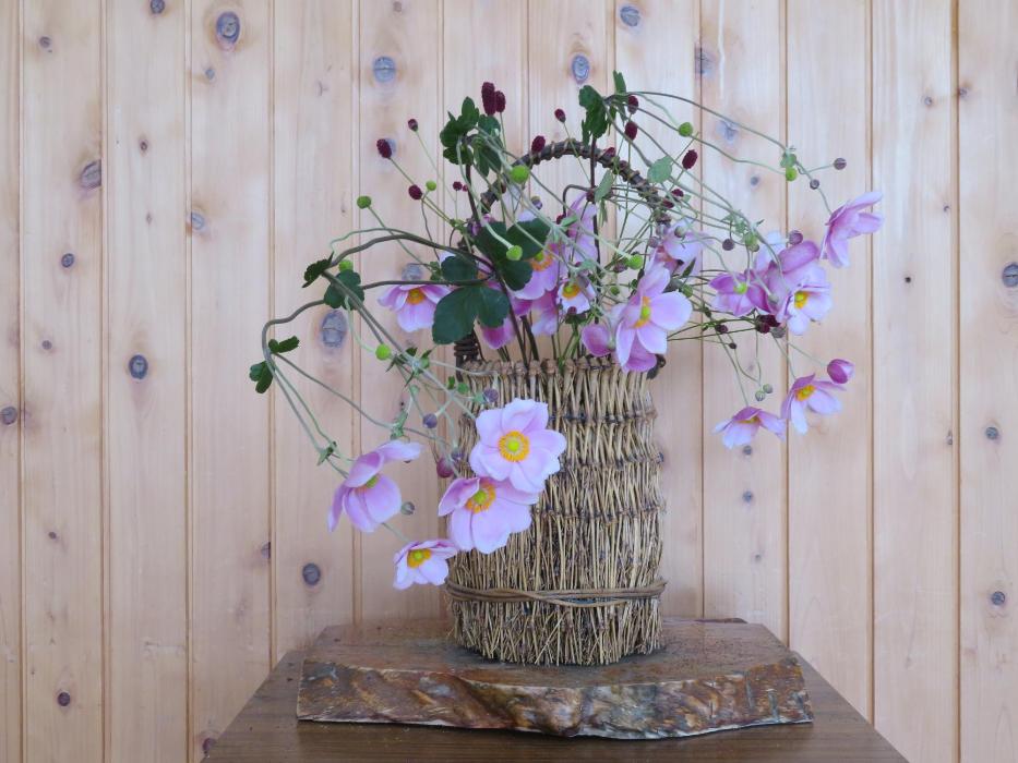 9月29日今週の花