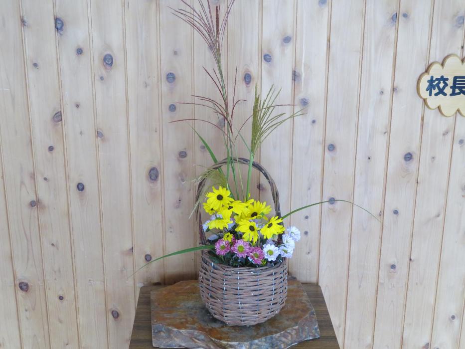 10月6日今週の花