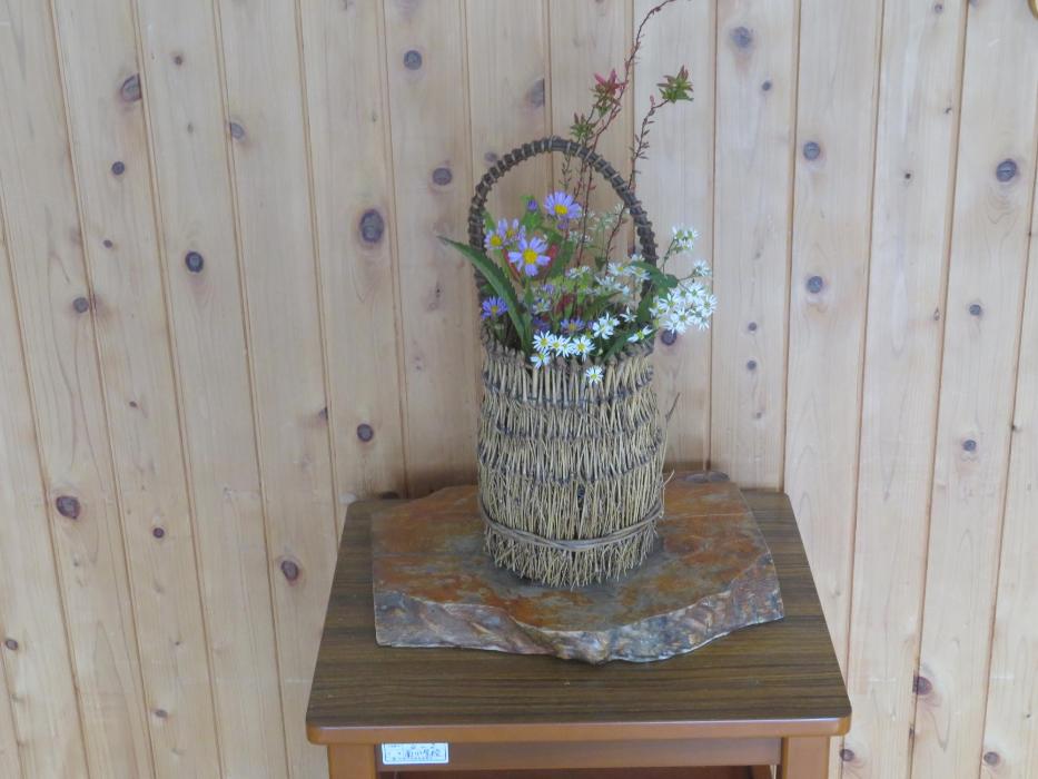 10月20日今週の花