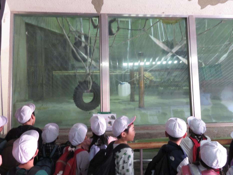 1年生生活科見学